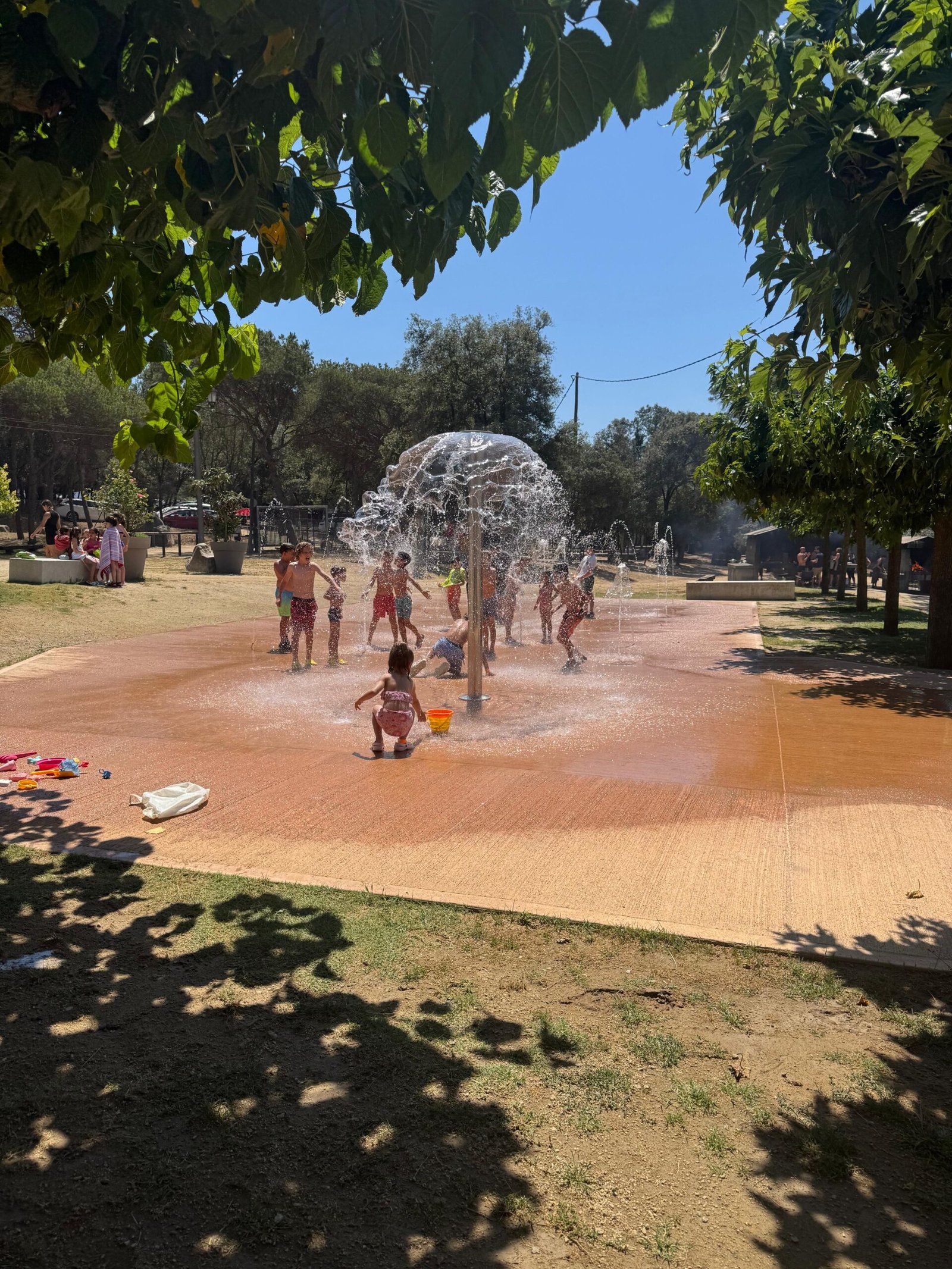 canmiret9